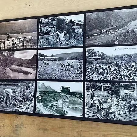 La Mejounete De Lucie 公寓 瑟穆瓦河畔夫雷斯