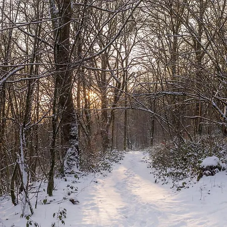 公寓 La Mejounete De Lucie 瑟穆瓦河畔夫雷斯